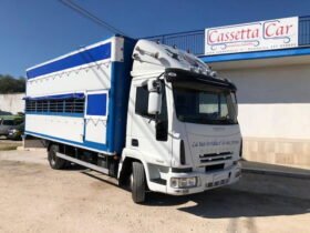 IVECO  EUROCARGO 75E15 TRASPORTO CAVALLI-ANIMALI VIVI
