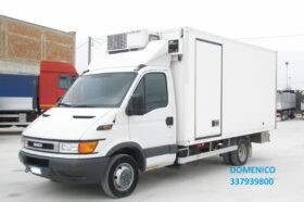 IVECO DAILY 50C13 CELLA  FRIGO