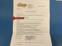 
										OPEL MOVANO COIBENTATO  FURGONATO 10/2015 full									