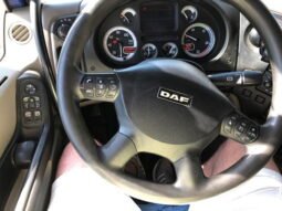 
										DAF TRATTORE STRADALE 105/460 IMPIANTO IDRAULICO full									