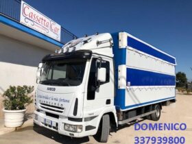 IVECO EUROCARGO 75E15 TRASPORTO CAVALLI-ANIMALI VIVI