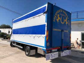 IVECO EUROCARGO 75E15 TRASPORTO CAVALLI-ANIMALI VIVI